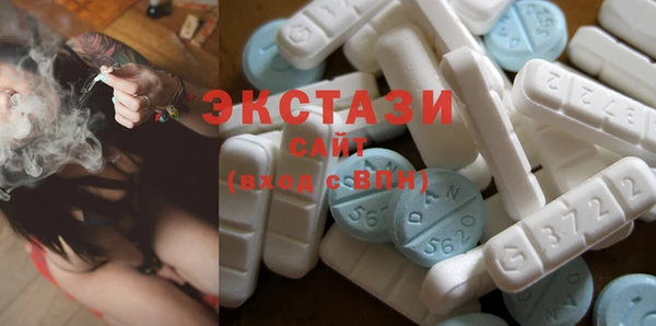 гашик Туринск