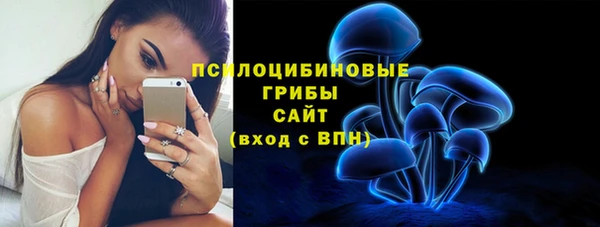 первитин Усинск