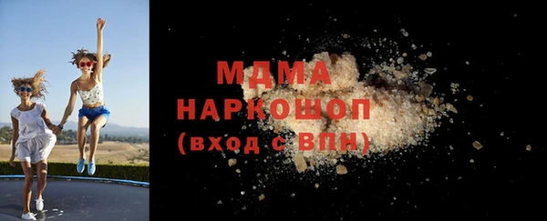 гашик Туринск