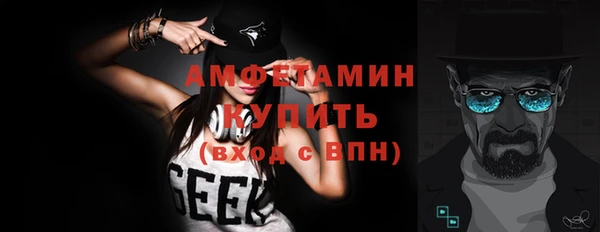 гашик Туринск