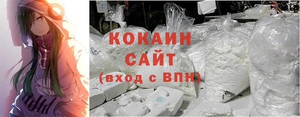 ешки Тында