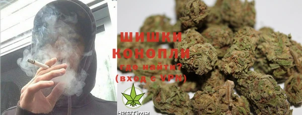 стафф Пенза