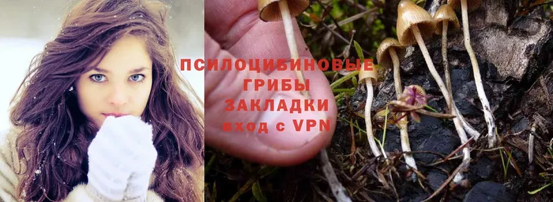 нарко площадка Telegram  Энгельс  Псилоцибиновые грибы MAGIC MUSHROOMS 