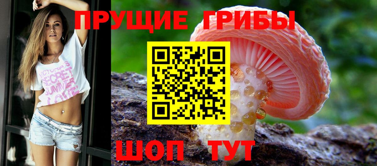 хочу наркоту  Галлюциногенные грибы прущие грибы  Вход с VPN  Энгельс  Галлюциногенные грибы Cubensis 